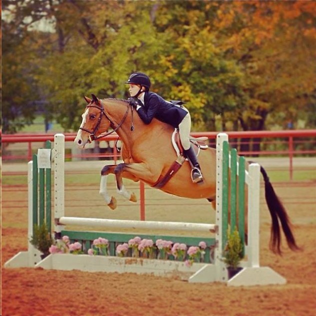 Amazing large Children's pony hunter